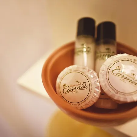 Carmel 2* Rom